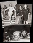 Marilyn Monroe: Three Exceptional Newswire Photos Including One With Arthur Miller and One With Clark Gable