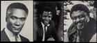 Seven (7) Oversized Double Weight Portraits of Male Television/Film Stars: Sidney Poitier, Robert Young, Robert Stack and More - 2