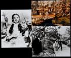 THE WIZARD OF OZ 12 Black & White and 2 Color Vintage Re-Strike Photos - 2