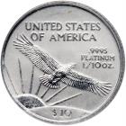 2001 $10 American Platinum Eagle - 2