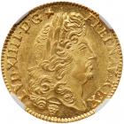 France. Louis XIV (1643-1715). Gold 1 Louis d'or a l'ecu, 1691-N (Montpellier)