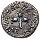 Judaea, The Jewish War. Silver 1/2 Shekel (6.77 g), 66-70 CE EF - 2