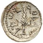 Judaea, Bar Kokhba Revolt. Silver Zuz (3.01 g), 132-135 CE EF - 2
