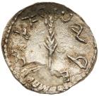 Judaea, Bar Kokhba Revolt. Silver Zuz (3.35 g), 132-135 CE Choice VF - 2
