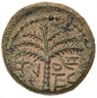 Judaea, Bar Kokhba Revolt. AE Small Bronze (6.94 g), 132-135 CE EF