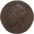 1793 Flowing Hair Cent. Chain reverse, "AMERI." in legend. PCGS F15