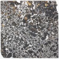 Large 170 Gram Section of a Seymchan Pallasite