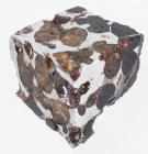 American Brenahm Pallasite Meteorite