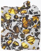 Slice of Esquel, the Most Beautiful Pallasite