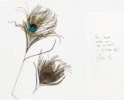 Gordon Cooper, Mercury-Atlas 9: Two Flown Peacock Feathers with Handwritten COA by Cooper.