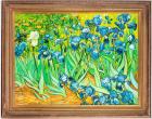 Vincent Van Gogh. IRISES