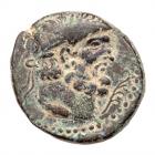 Phoenicia, Dora. AE (8.58 g), 1st century AD VF