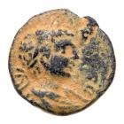 Judaea City Coinage. Samaria, Antipatris. Elagabalus. AE (4.10 g), AD 218-222 VF