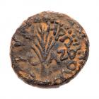 Judaea, Herodian Kingdom. Herod III Antipas. AE Half (5.98 g), 4 BCE-39 CE Choic - 2