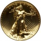 2009 Ultra High Relief Double Eagle Gold Coin