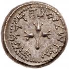 Judaea, The Jewish War. Silver 1/2 Shekel (6.83 g), 66-70 CE Nearly Mint State - 2