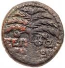 City Coins of Israel: Galilaea, Sepphoris. Trajan. Ã (10.23 g), AD 98-117 - 2