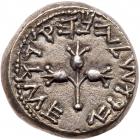 Judaea, The Jewish War. Silver Shekel (14.16 g), 66-70 CE Superb EF - 2