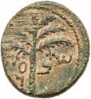 Judaea, Bar Kokhba Revolt. Ã Medium Bronze (11.13 g), 132-135 CE VF