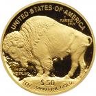 2010-W $50 American Buffalo Gold Coin Gem Proof - 2