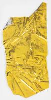 Apollo 11: Flown Thermal Mylar Film Coating, "Kapton Foil," A Rare, Large Segment. COA and Provenance Included.