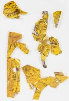 Apollo 13: Seven Small Segments of Thermal Mylar Film Coating, "Kapton Foil" with COA