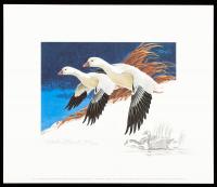 1977 $5 Ross's Geese Duck Print Artist Proof With Remarque (Sc RW44)