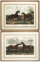 Herring, Harris and Summers. "The British Stud" Two Mid-19th Century Engravings Each Featuring Two Horses of Note in England. Sp