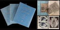 Schaltenbrand, Dr. Georges. Introduction to Stereotaxis with An Atlas of the Human Brain. Rare Three Volume Set