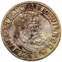 Brandenburg, Friedrich Wilhelm, 1640-1688. Silver 1/3 Thaler, 1667 IL. Berlin mint, Jobst Liebmann, warden.