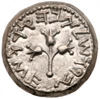 The Jewish War. Year 3, Silver Shekel (14.02 g) 66-70 CE - 2