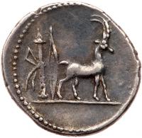Cn. Plancius. Silver Denarius (3.62 g), 55 BC - 2