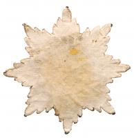 Breast Star. Civil Division. - 2