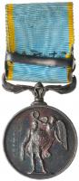 British Crimean War Medal. - 2