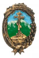 Surrender of Cossacks at Lienz. June 1945. Badge.