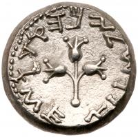 Jewish War. Silver Shekel (14.32 g) Year Two, April 67 - March 68 CE Nearly Mint - 2