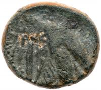 Phoenicia, Tyre. FourrÃ©e Shekel (13.84 g), ca. 126/5 BC-AD 65/6 VF - 2