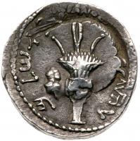 Judaea, Bar Kokhba Revolt. Silver Sela (14.45 g), 132-135 CE VF - 2