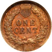 1894 Indian Head 1C NGC EF45 BR - 2