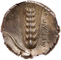 Lucania, Metapontion. Silver Nomos (7.73 g), ca. 400-330 BC - 2