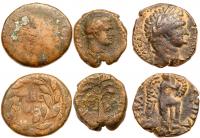 Judea. Herodian Dynasty. Agrippa II. A Group of 3 Different Bronzes