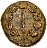 Judaea, Bar Kokhba Revolt. Ã Medium Bronze (7.38 g), 132-135 CE EF - 2