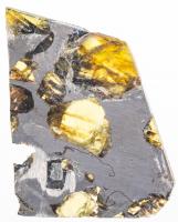 Meteorite Esquel The Most Beautiful Pallasite