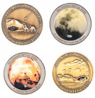 Collection of Four Meteorite Medals with Meteorite Fragments