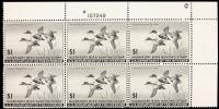 1945, $1 Shoveller Ducks Mint VF-XF N.H. Plate Block
Fresh very well-centered mint never hinged plate block of 6 stamps