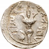 Judea, Bar Kokhba Revolt. Silver Sela (14.81 g), 132-135 CE EF - 2