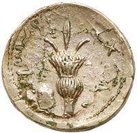 Judea, Bar Kokhba Revolt. Silver Sela (14.93 g), 132-135 CE EF - 2