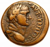 Judea. Herodian Dynasty. Agrippa II under Flavian Rule. AE 23 (11.91 g) VF