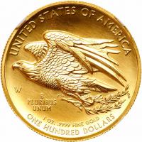 2015-W American Liberty High Relief $100 Gold Coin NGC MS69 - 2