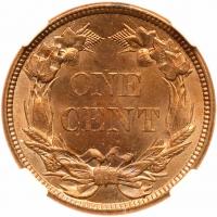 1858 Flying Eagle 1C. Sm Letters NGC MS64 - 2